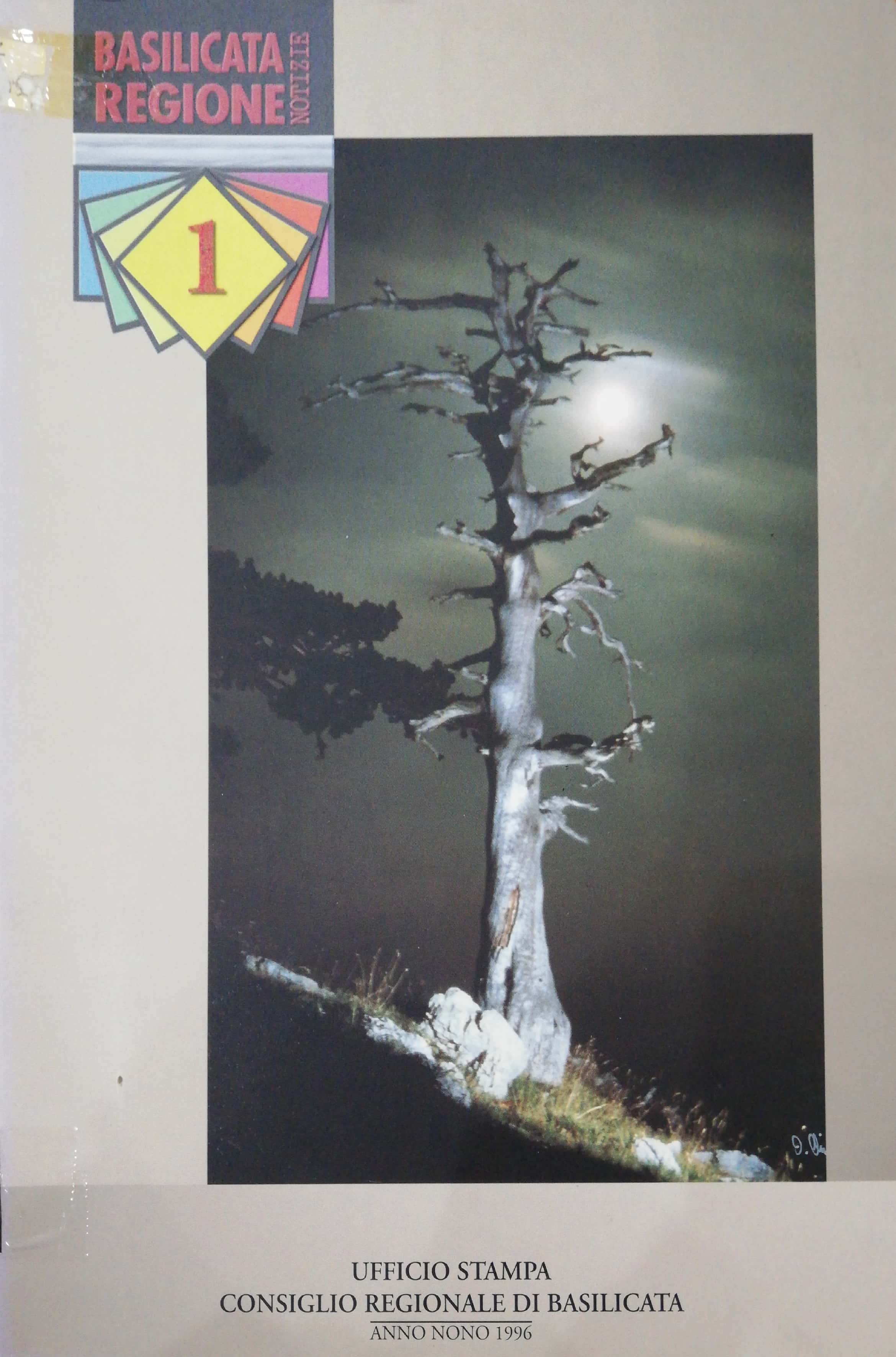 BASILICATA REGIONE NOTIZIE 1-1996 anno IX